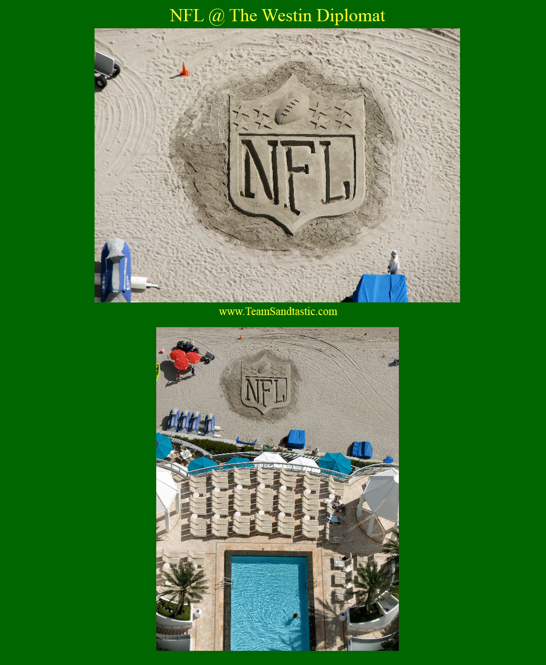 NFL Logo Sand Sculpture