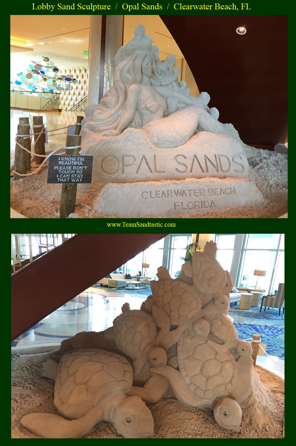Sand Sculpting Clearwater
