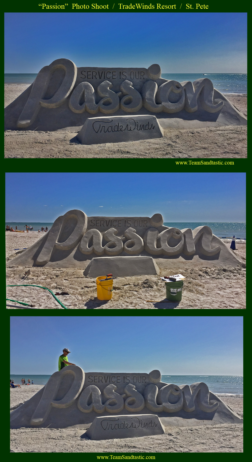 Professional Sand Sculpture