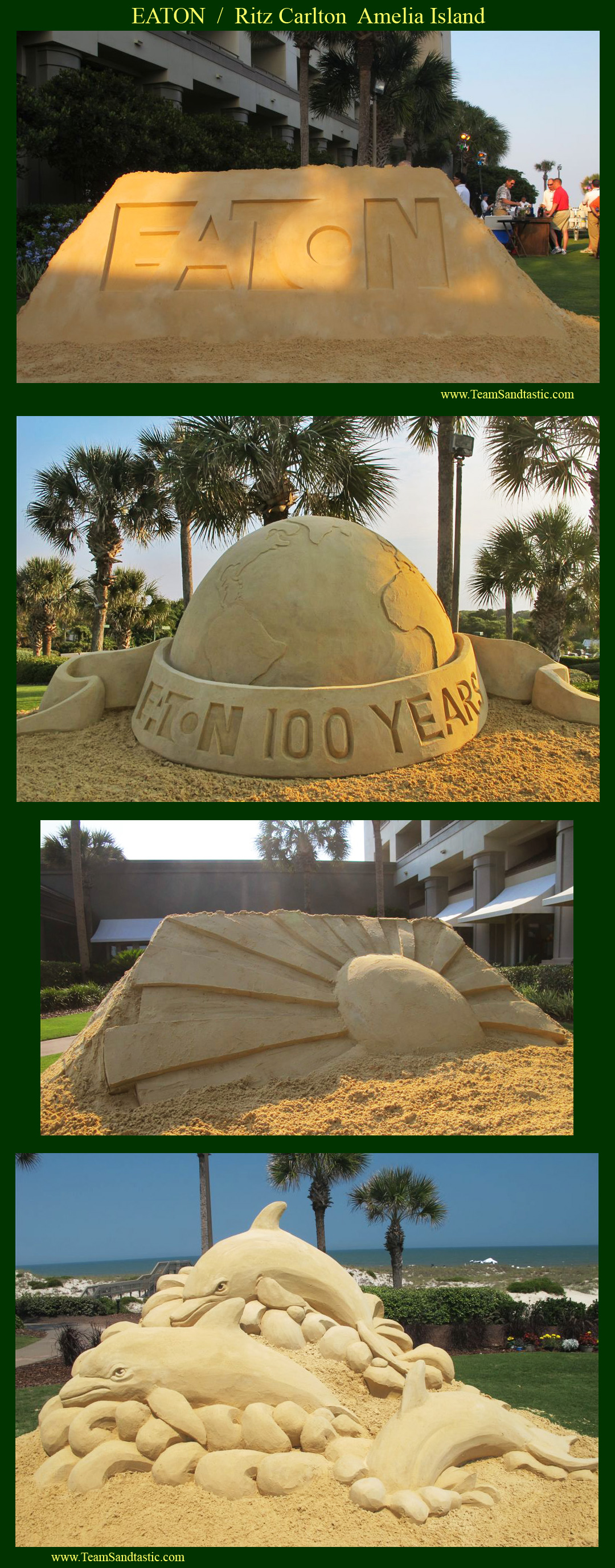 Ritz Carlton Amelia Isoand Sand Sculpture