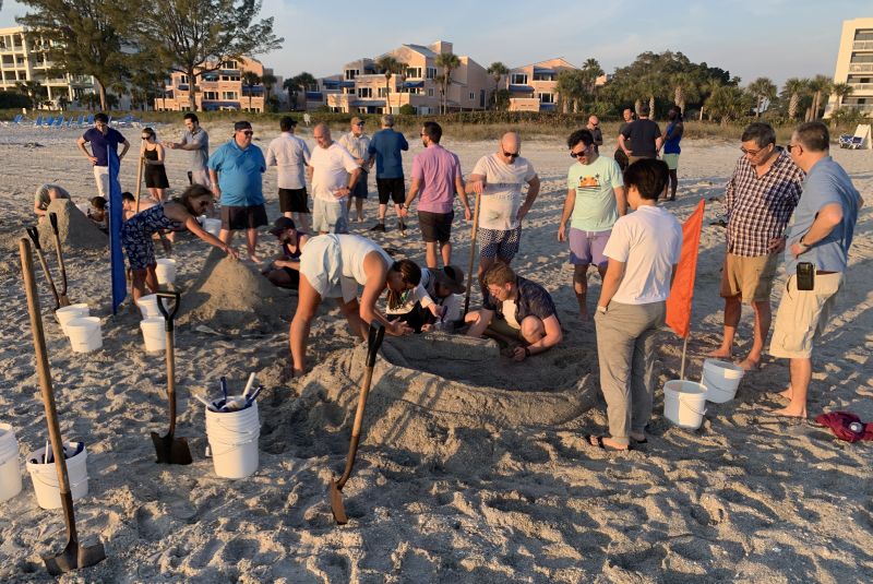 Professional Sand Sculpture