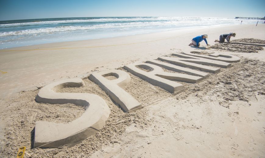 Professional Sand Sculpture