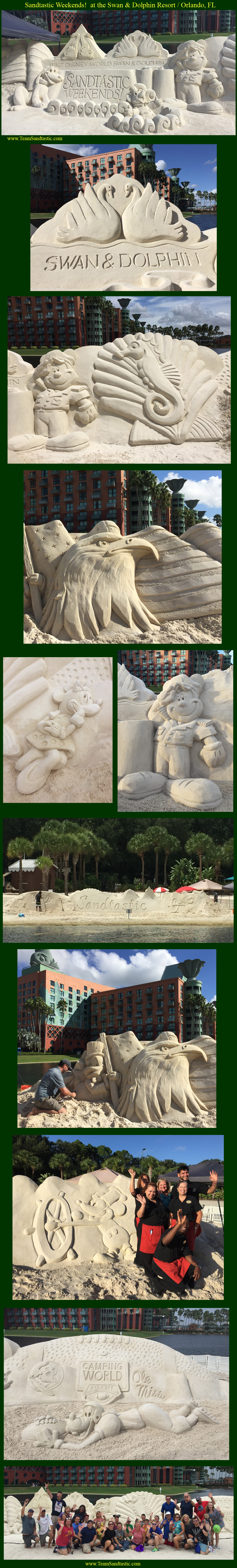 Professional Sand Sculpture