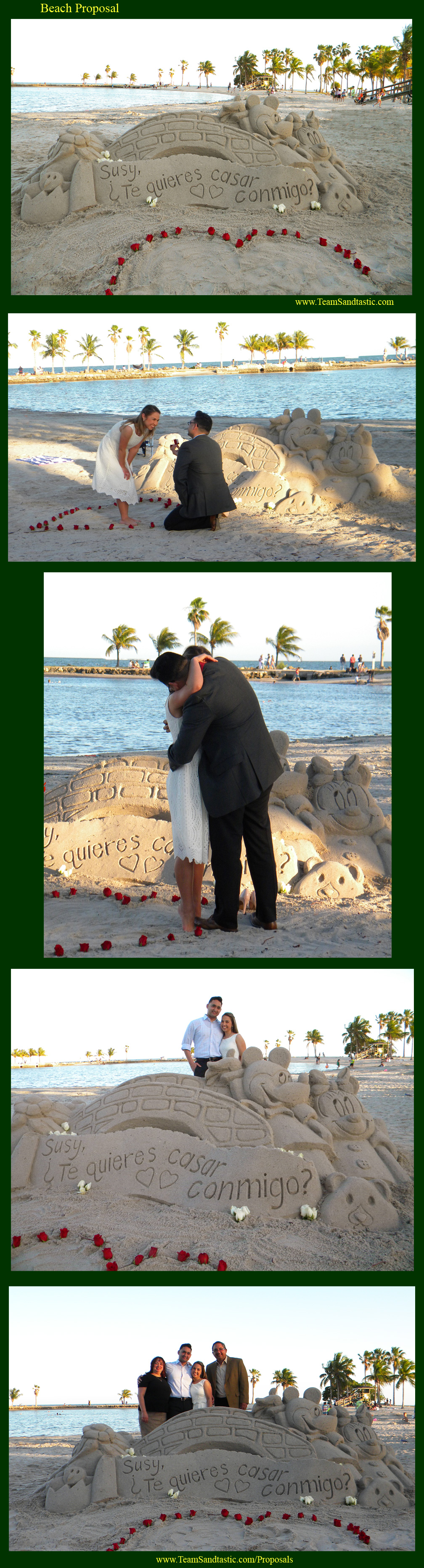 Beach Proposal 