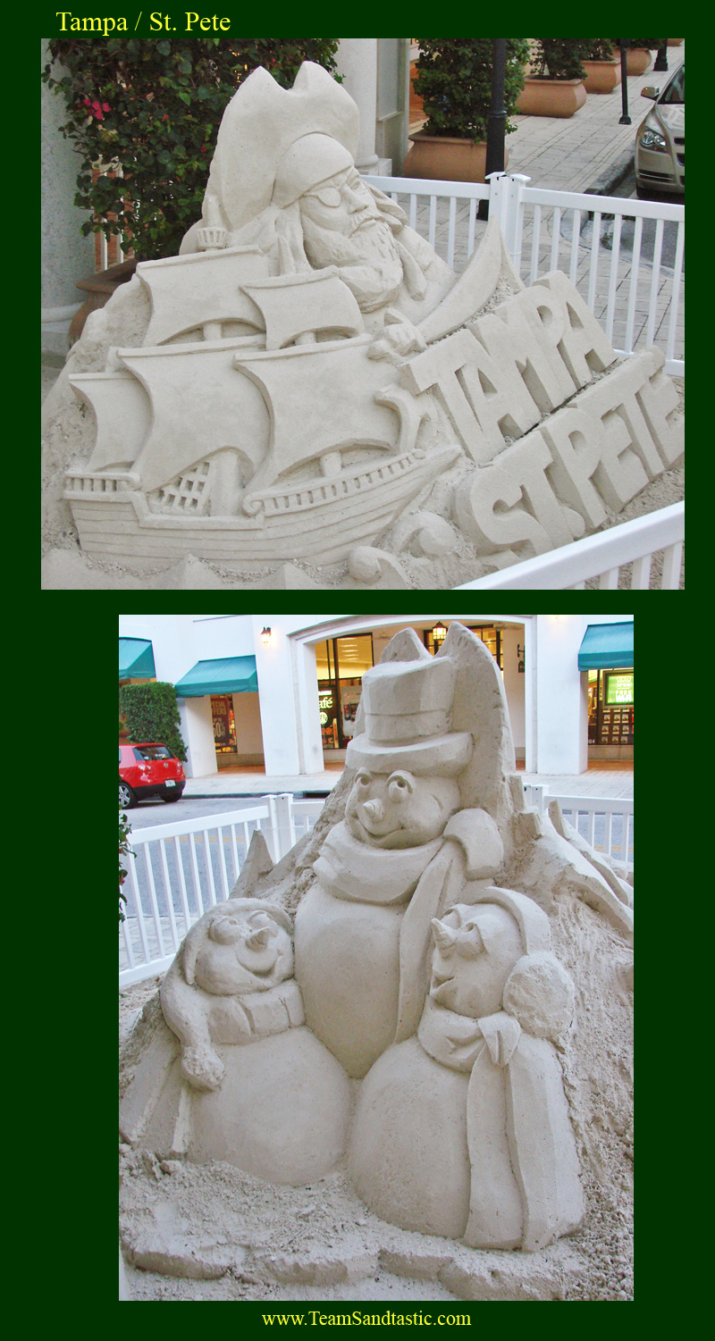 Tampa / St. Pete Sand Sculpting