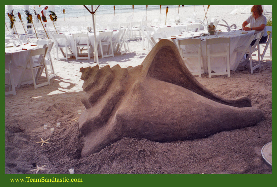 Wedding & Proposal Sand Sculpture Conch Shell